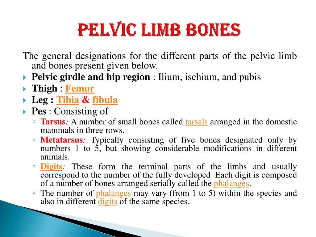 the general designations for the different parts