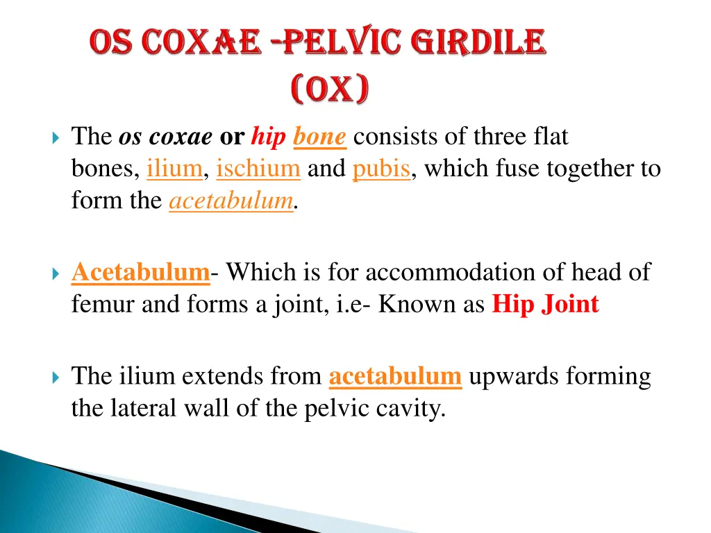 the os coxae or hip bone consists of three flat