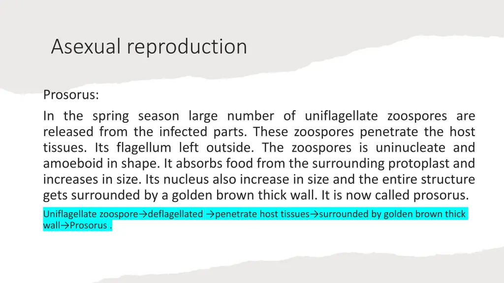 asexual reproduction