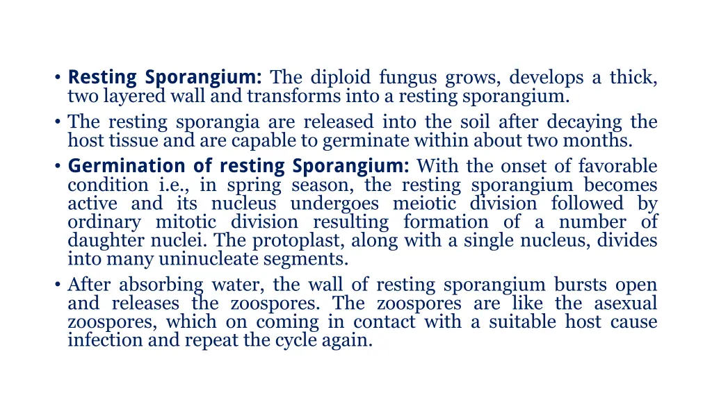 resting sporangium the diploid fungus grows