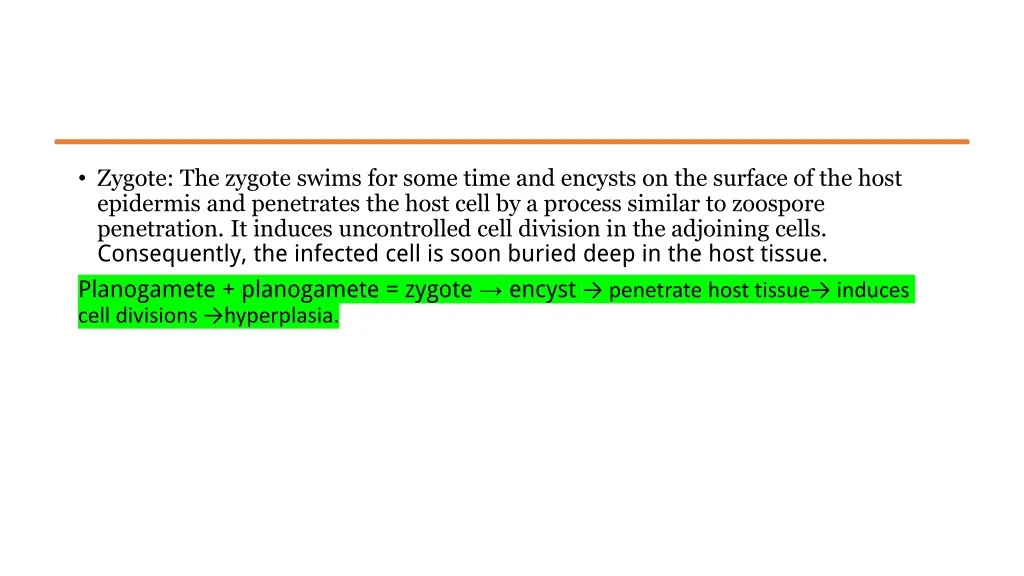 zygote the zygote swims for some time and encysts