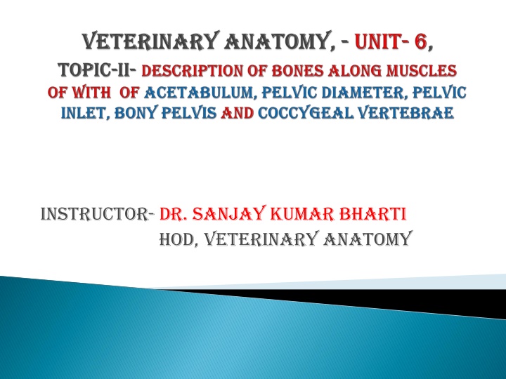 instructor dr sanjay kumar bharti hod veterinary