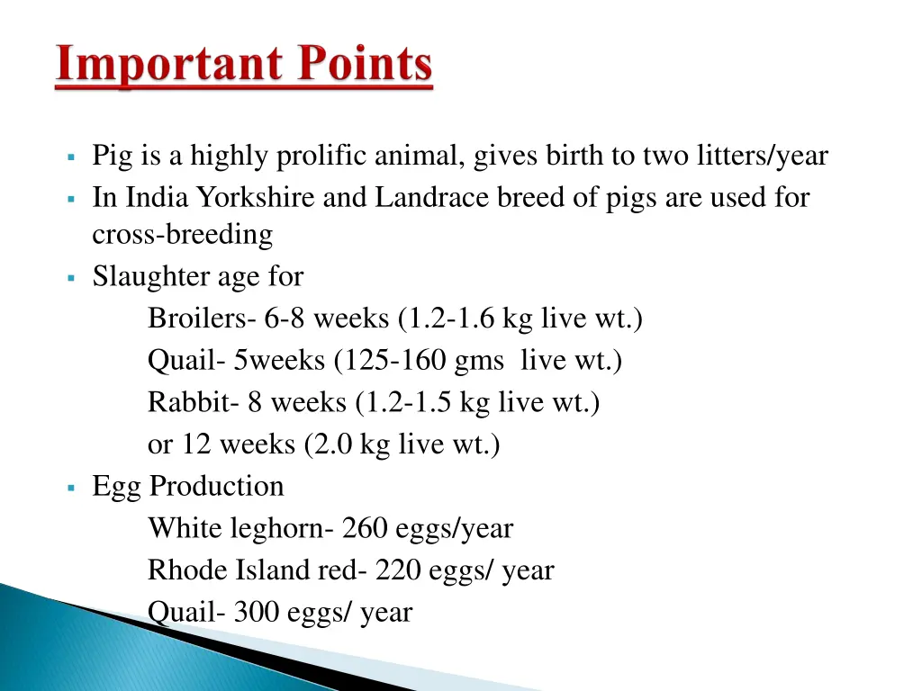 pig is a highly prolific animal gives birth