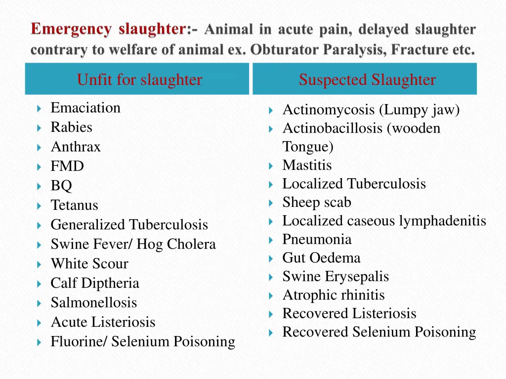 unfit for slaughter