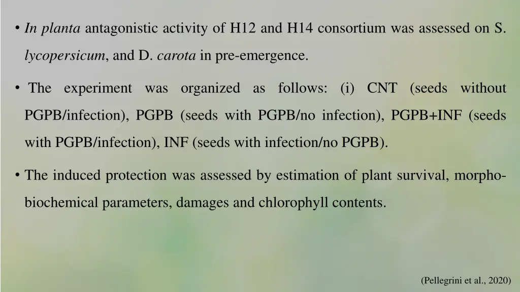 in planta antagonistic activity