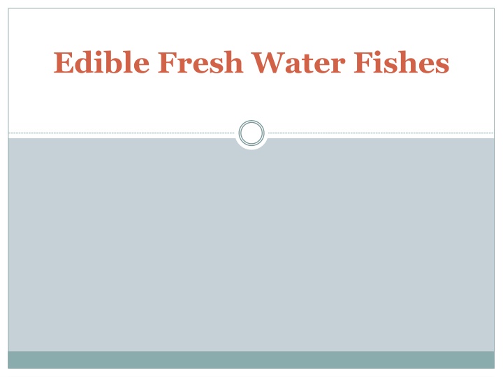 edible fresh water fishes