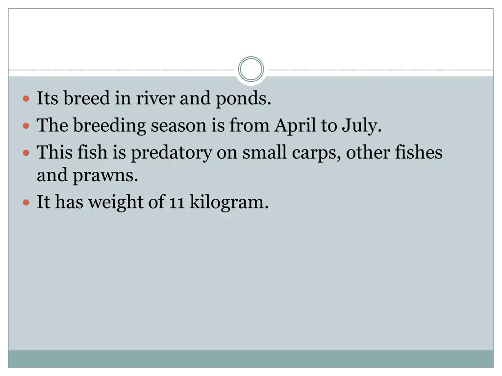 its breed in river and ponds the breeding season