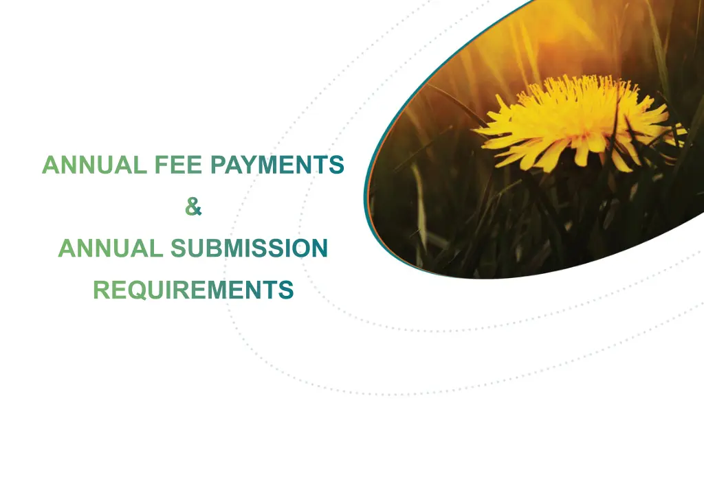 annual fee payments annual submission requirements