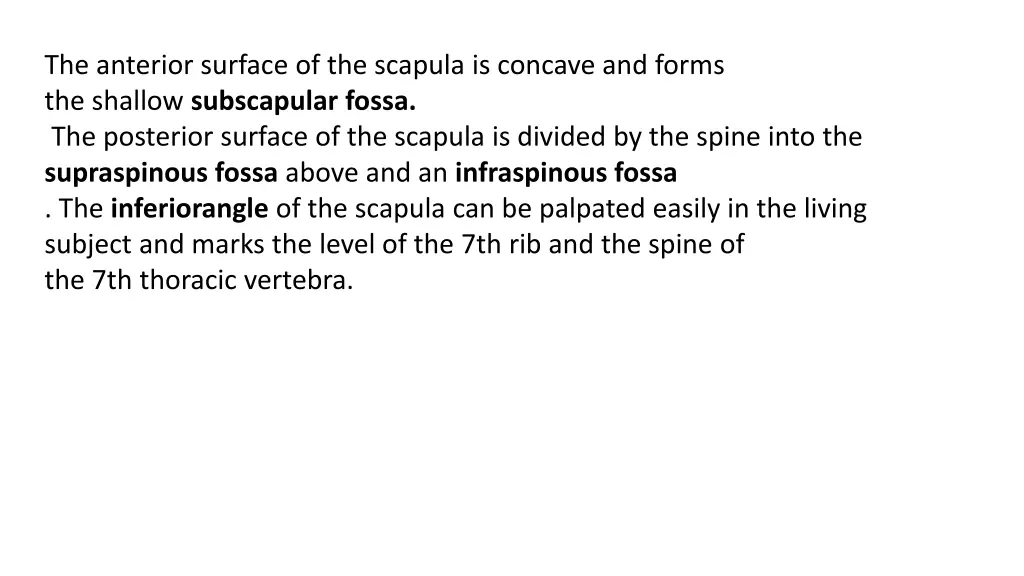 the anterior surface of the scapula is concave