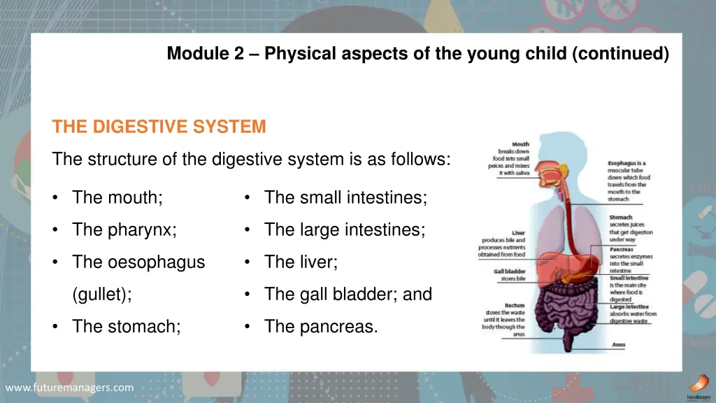 module 2 physical aspects of the young child 5