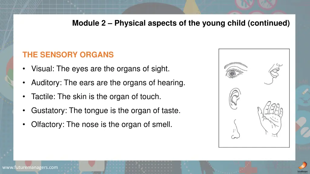 module 2 physical aspects of the young child 7