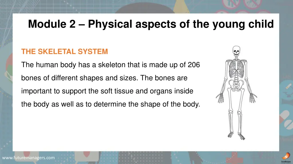 module 2 physical aspects of the young child