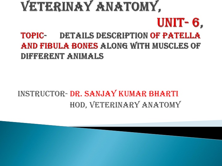 instructor dr sanjay kumar bharti hod veterinary