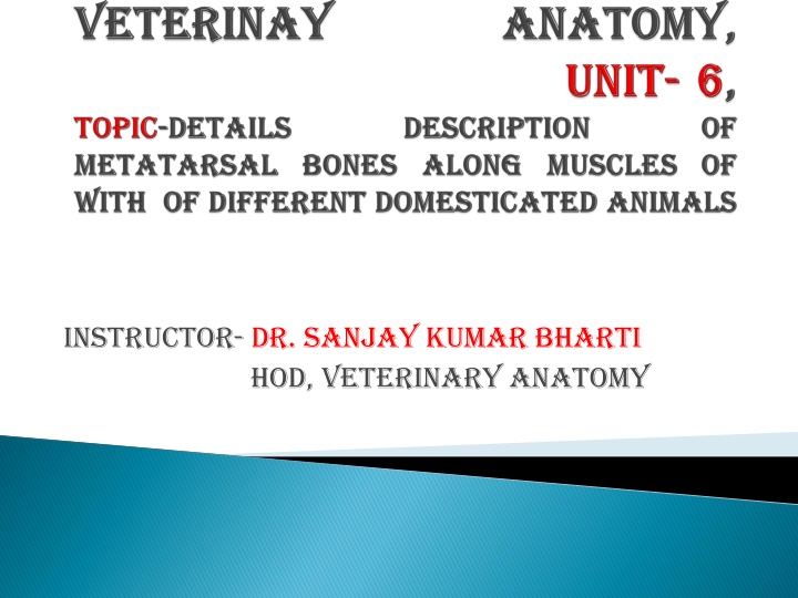 instructor dr sanjay kumar bharti hod veterinary