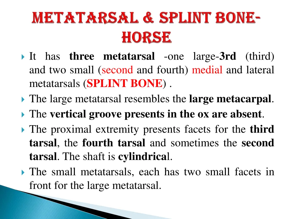 it has three metatarsal one large 3rd third