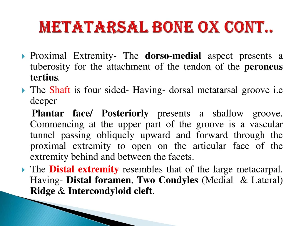 proximal extremity the dorso medial aspect