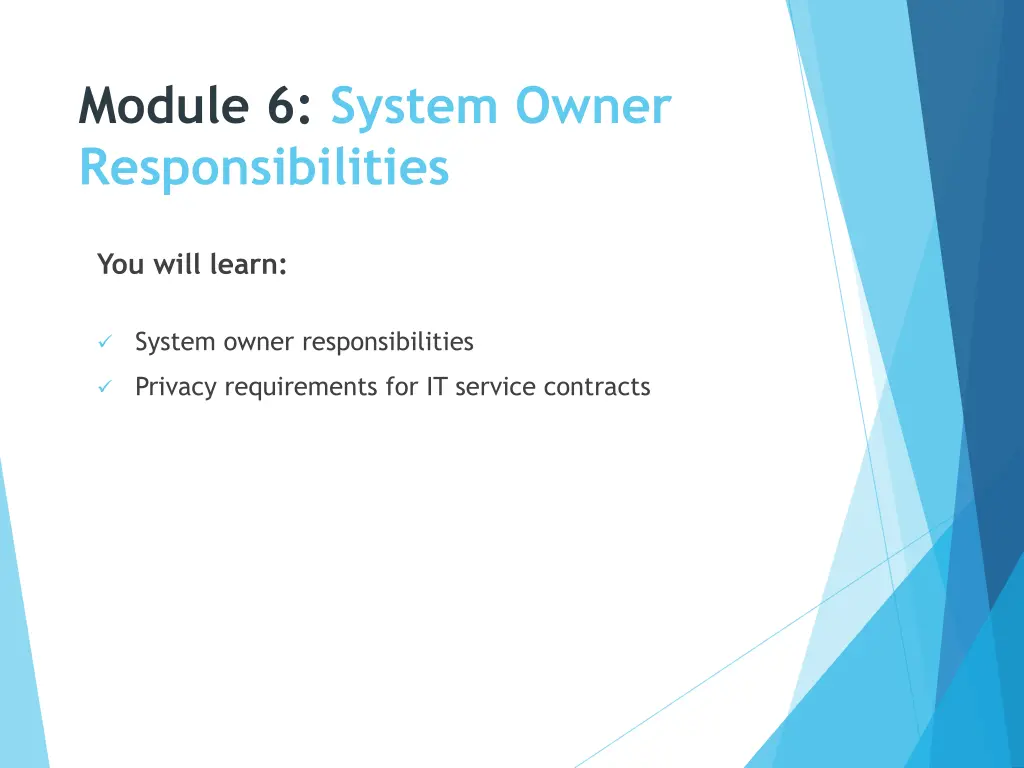 module 6 system owner responsibilities