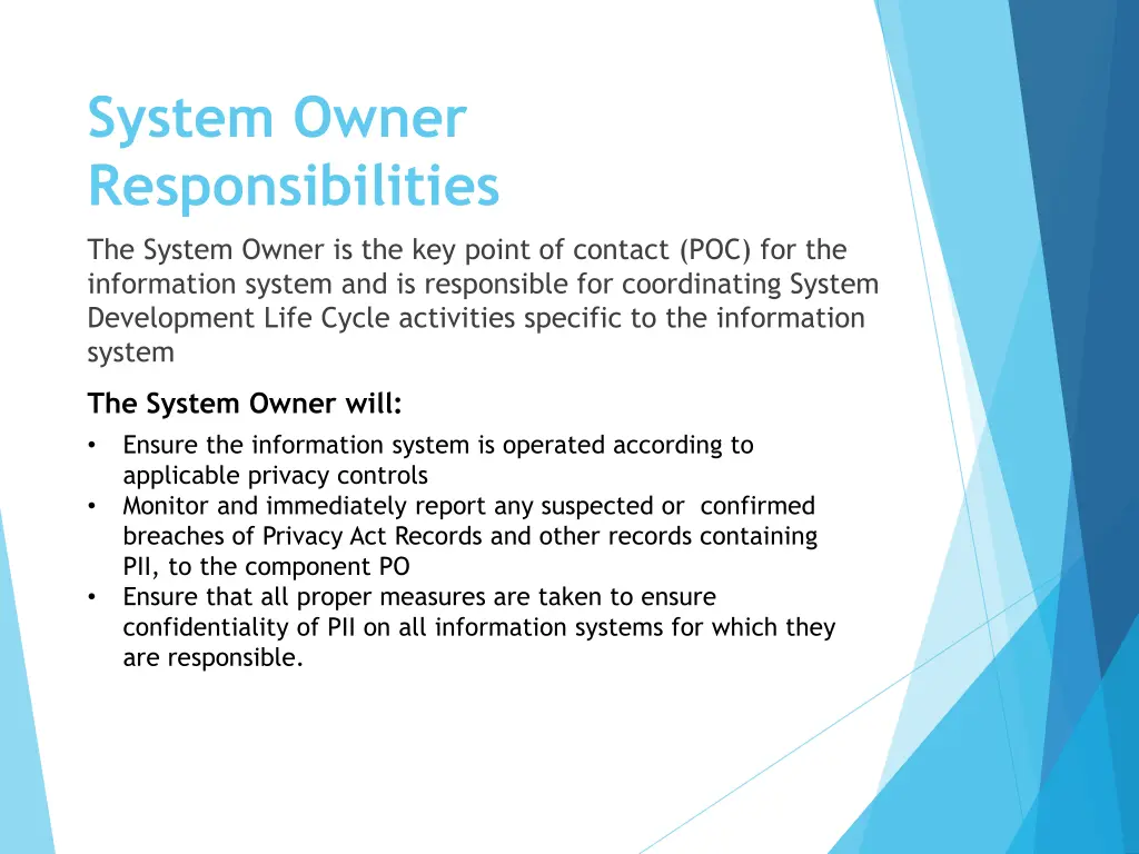 system owner responsibilities