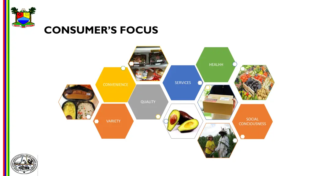 consumer s focus