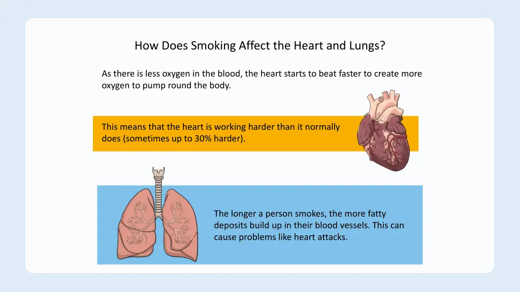 how does smoking affect the heart and lungs 1