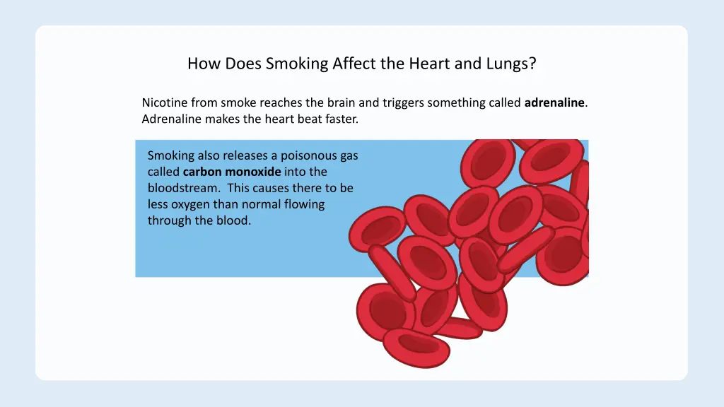 how does smoking affect the heart and lungs