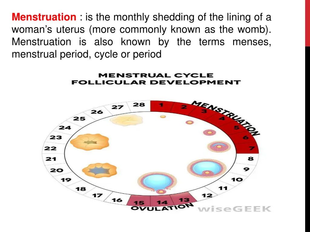 menstruation is the monthly shedding