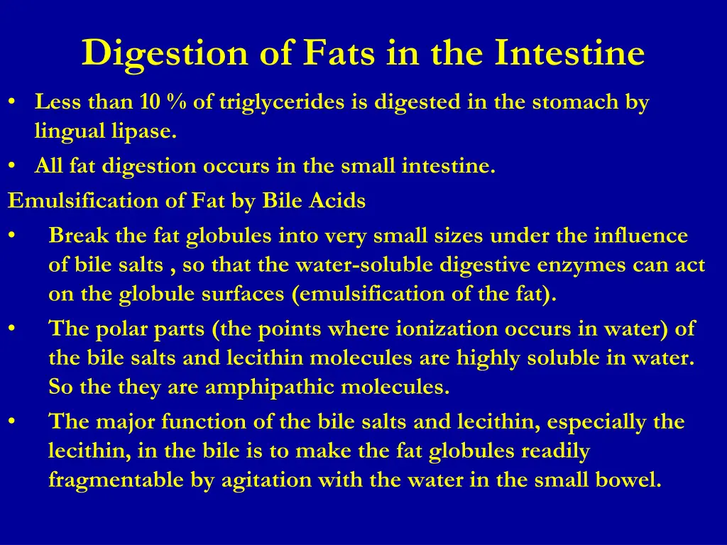 digestion of fats in the intestine