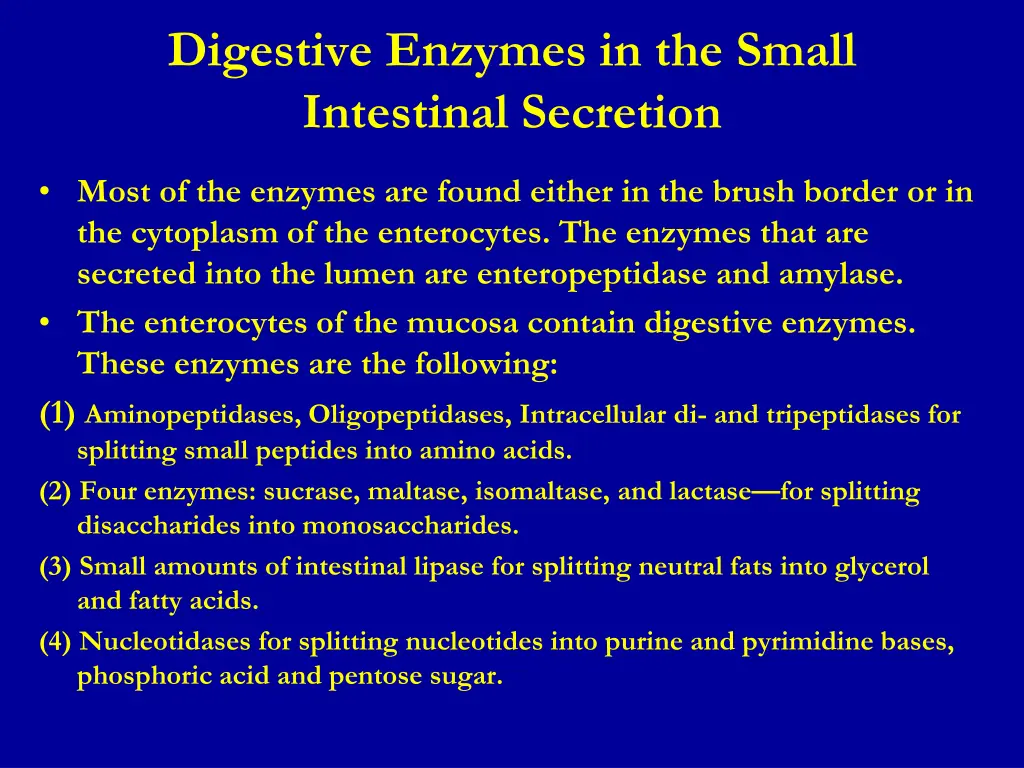 digestive enzymes in the small intestinal