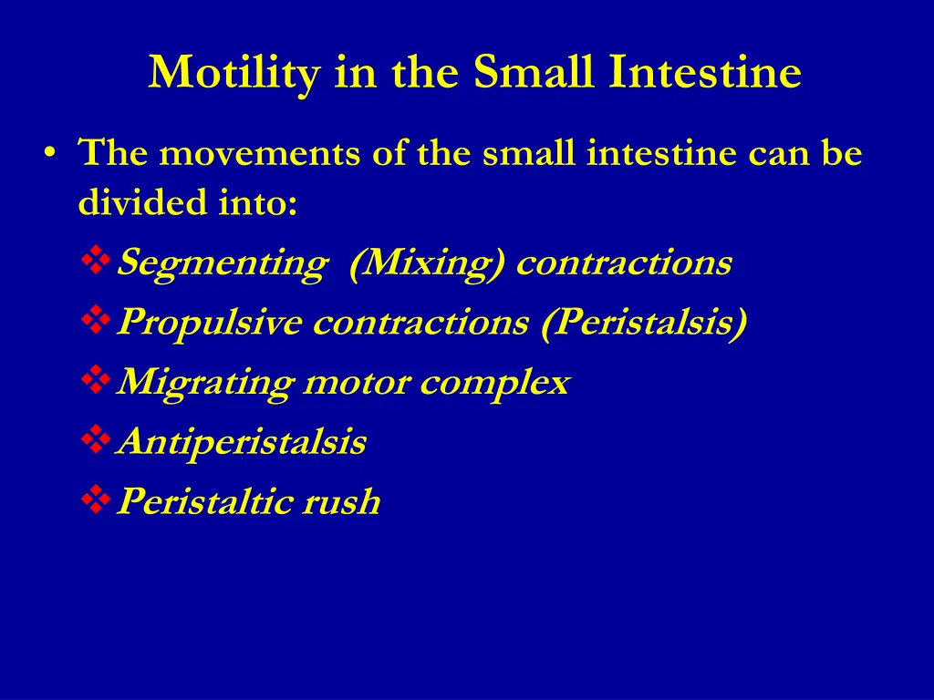 motility in the small intestine