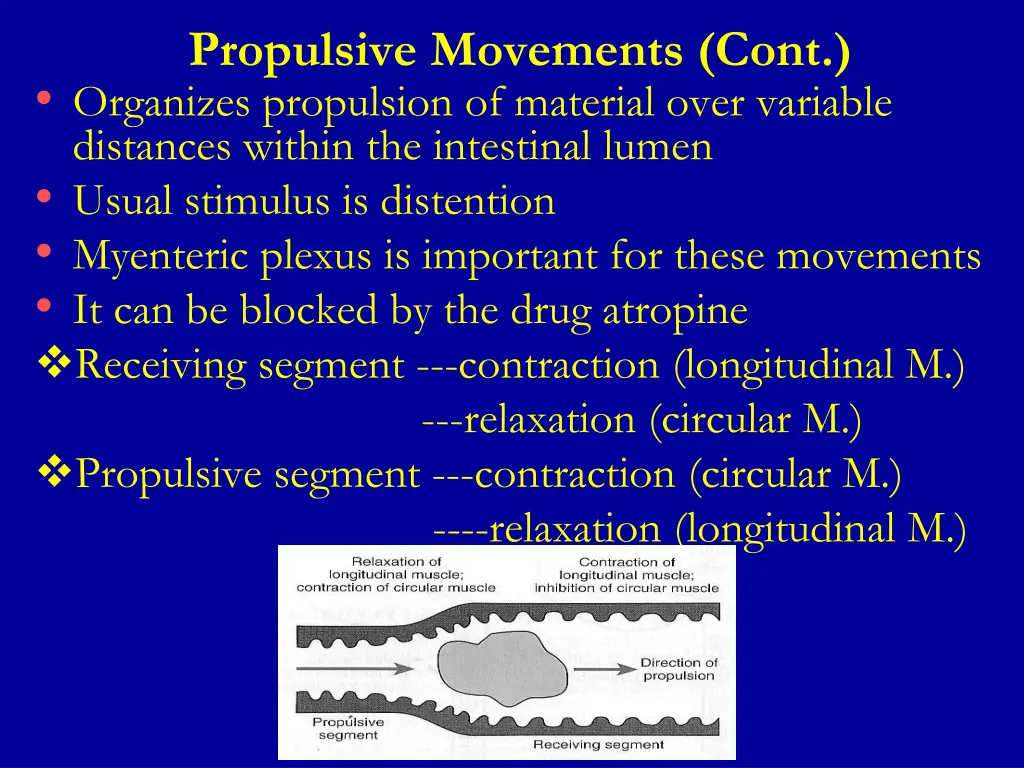 propulsive movements cont organizes propulsion