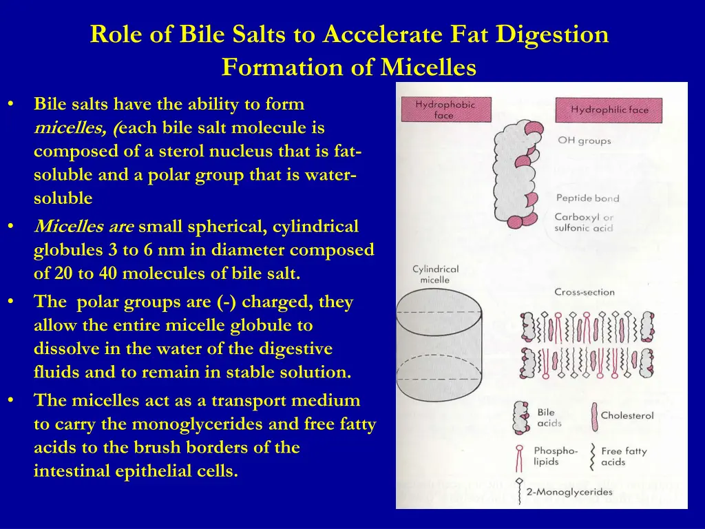 role of bile salts to accelerate fat digestion