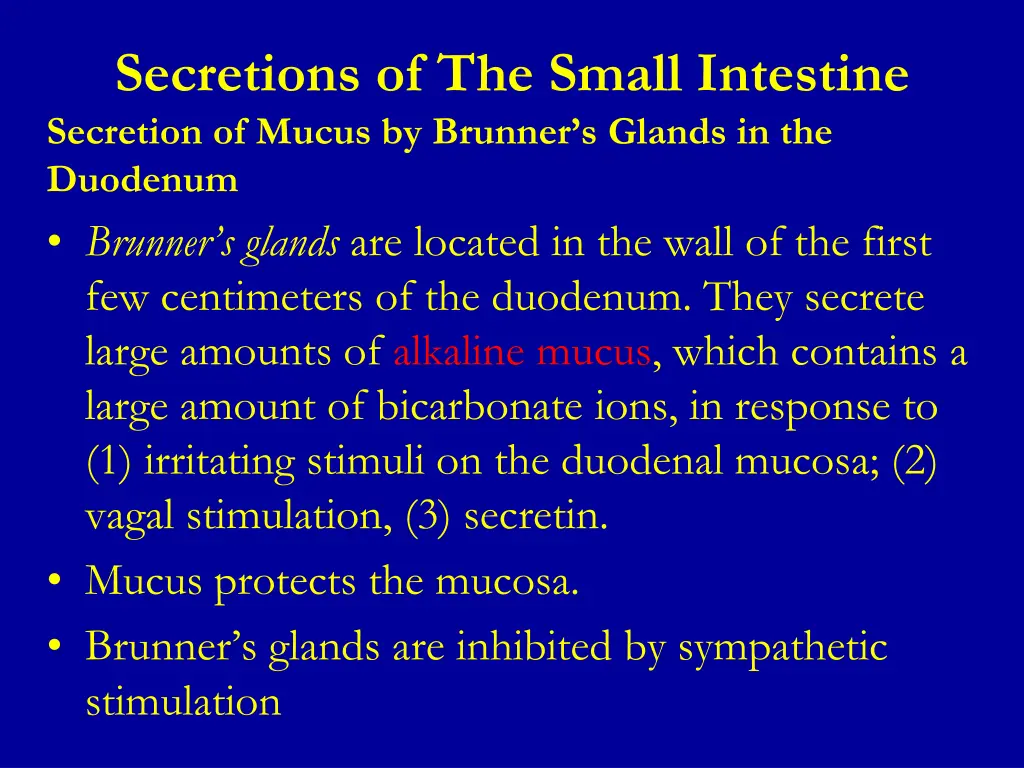 secretions of the small intestine secretion