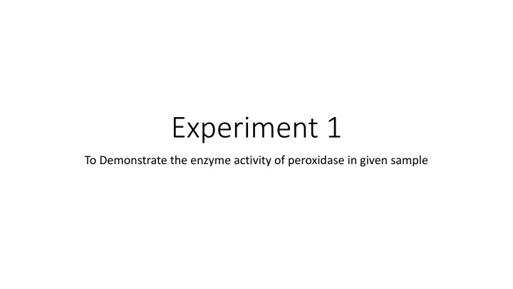 experiment 1