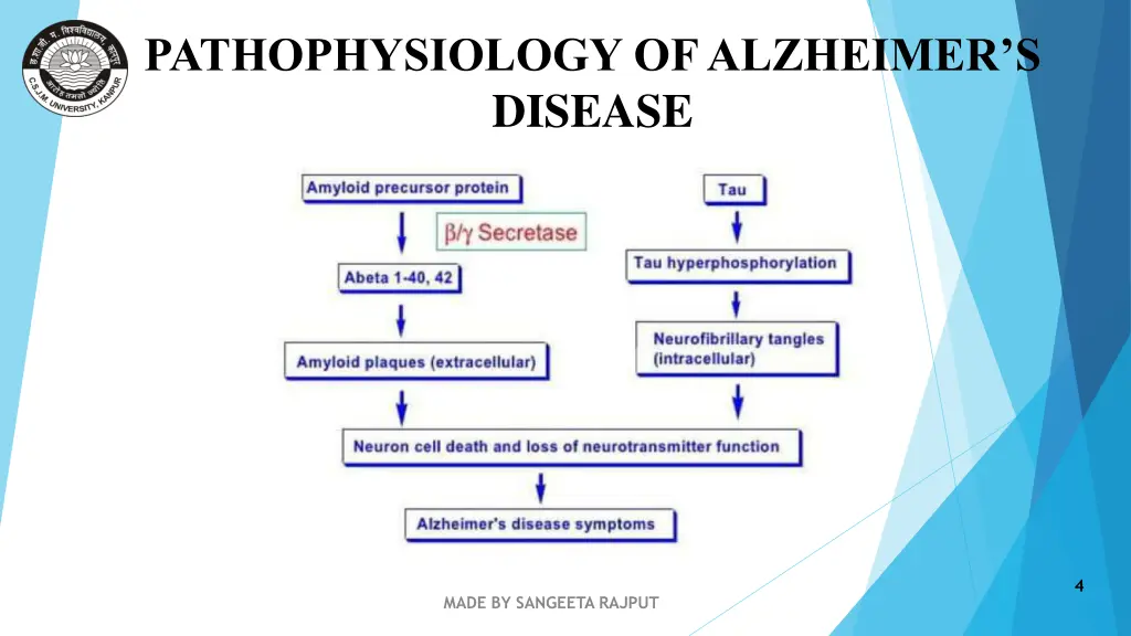 pathophysiology of alzheimer s disease