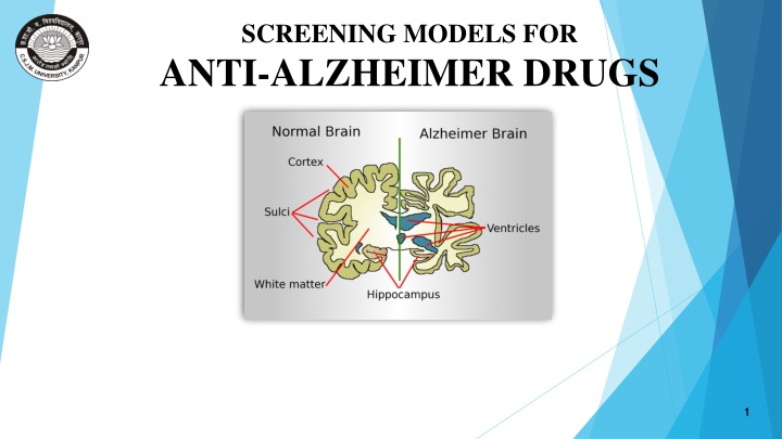 screening models for anti alzheimer drugs