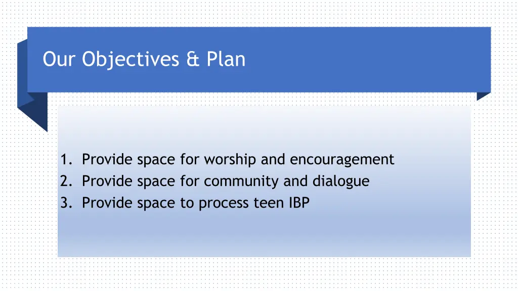 our objectives plan