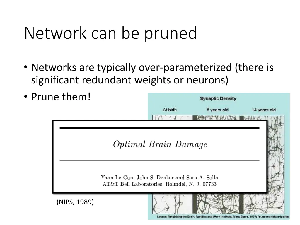 network can be pruned