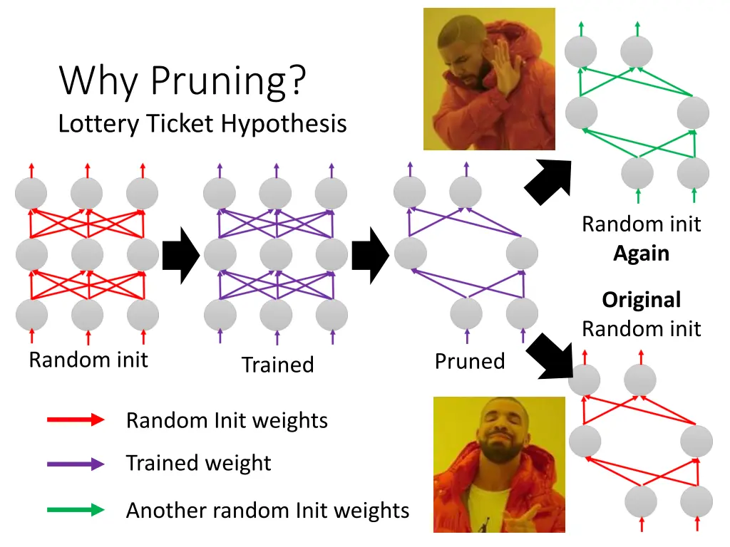 why pruning lottery ticket hypothesis 1