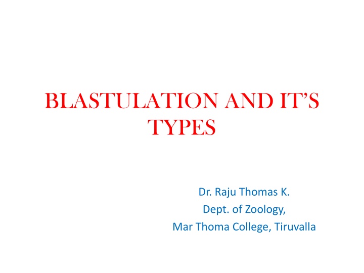 blastulation and it s types