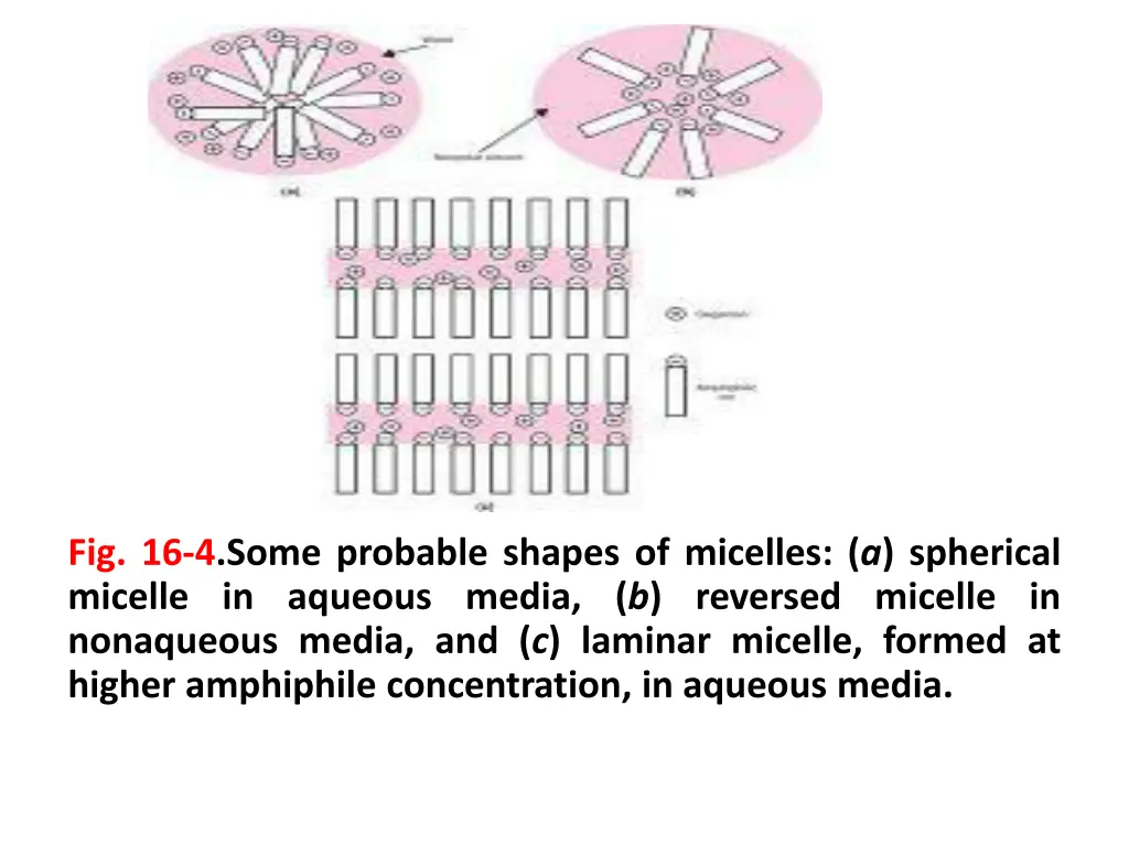 fig 16 4 some probable shapes of micelles