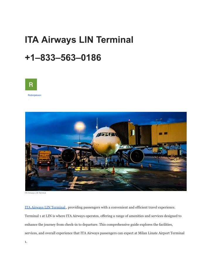 ita airways lin terminal