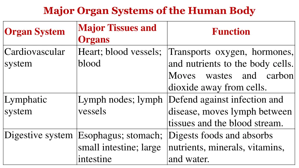 major organ systems of the human body