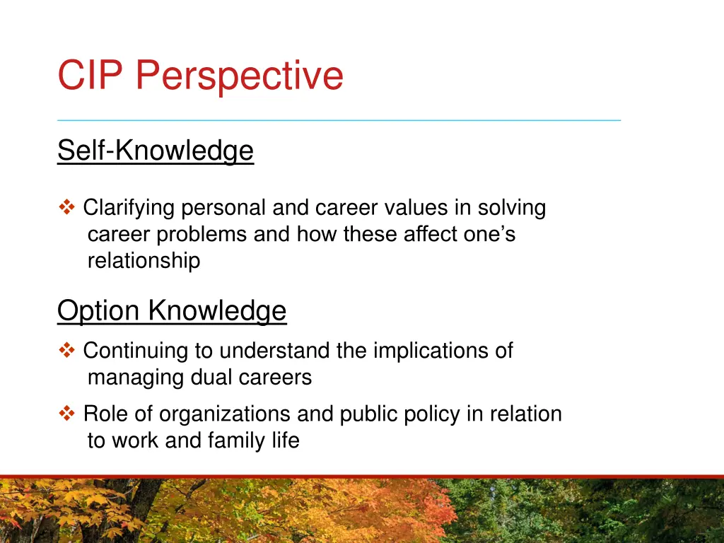 cip perspective