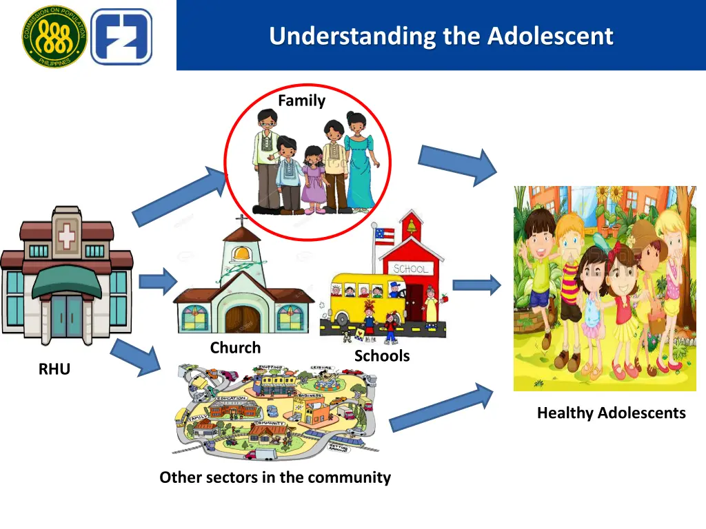 understanding the adolescent