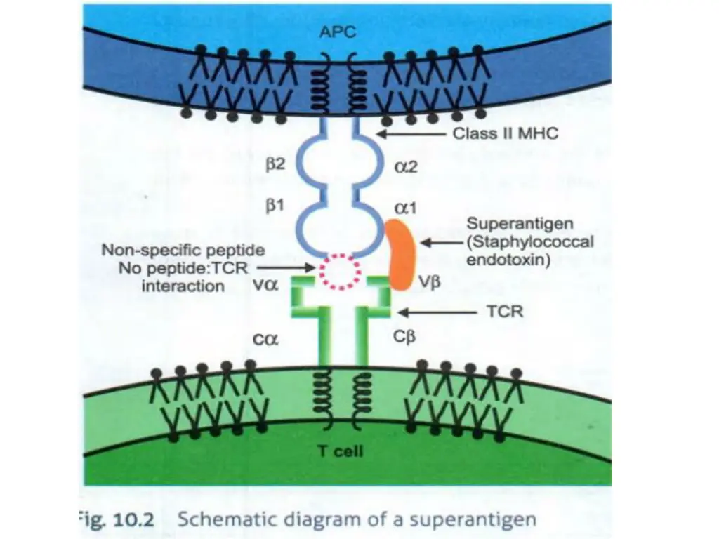 slide25