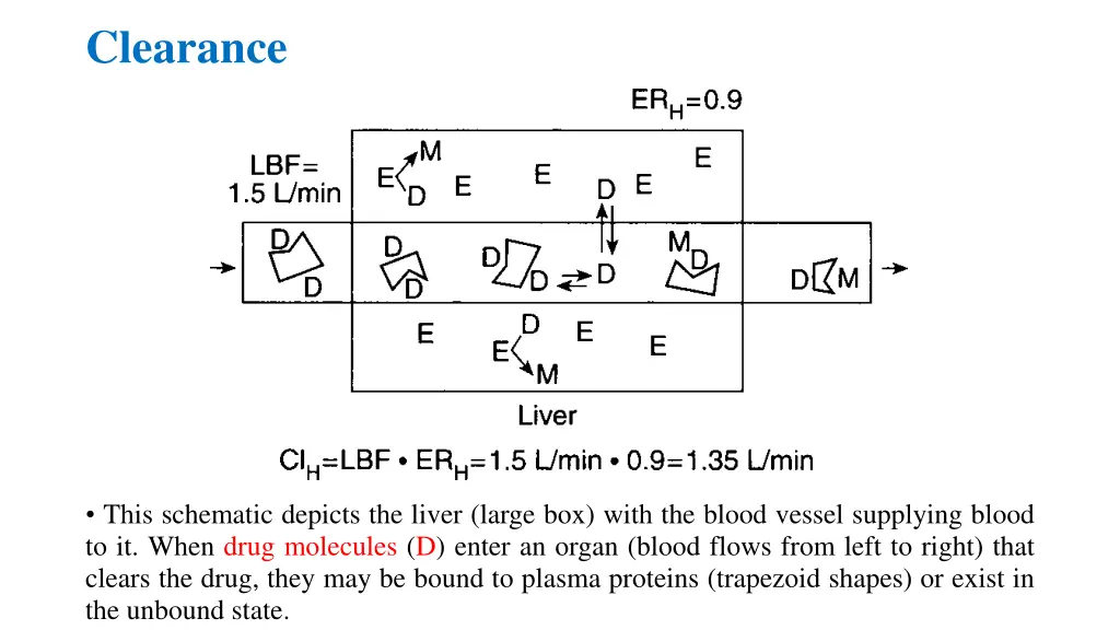 clearance 5