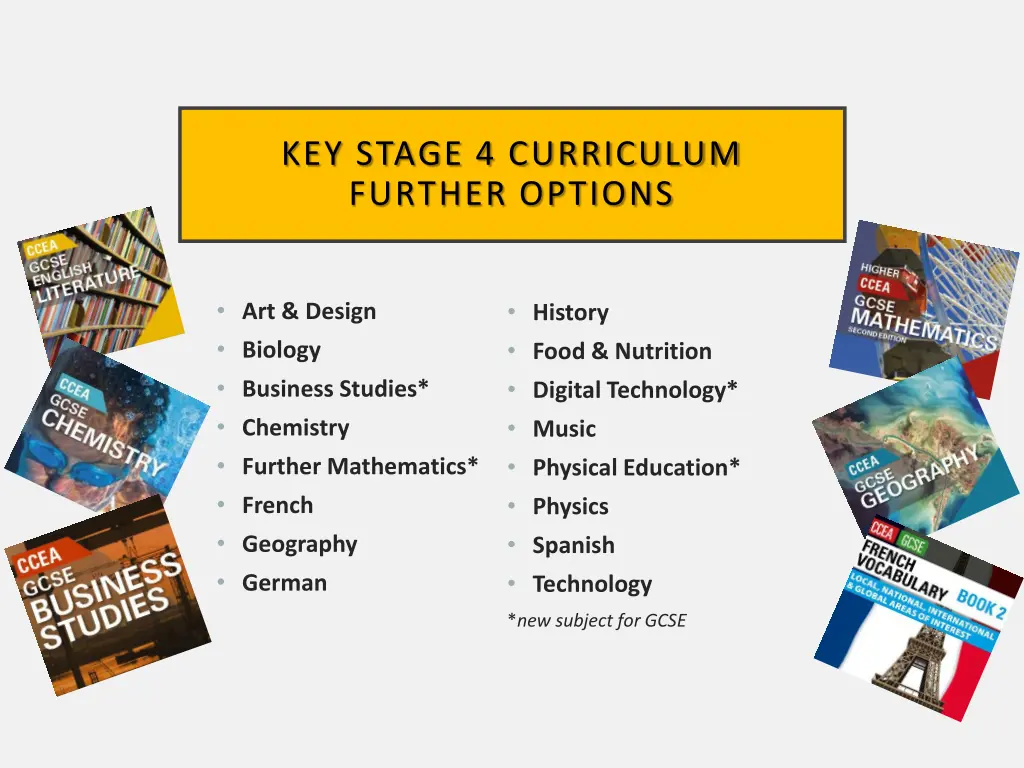 key stage 4 curriculum further options