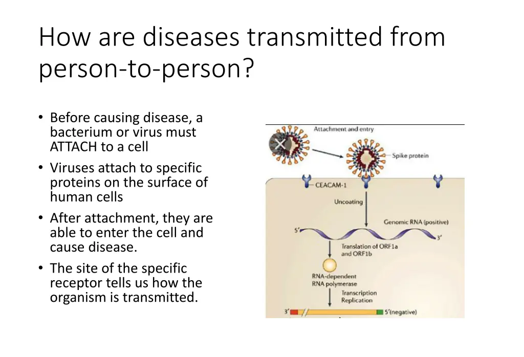 how are diseases transmitted from person to person 1