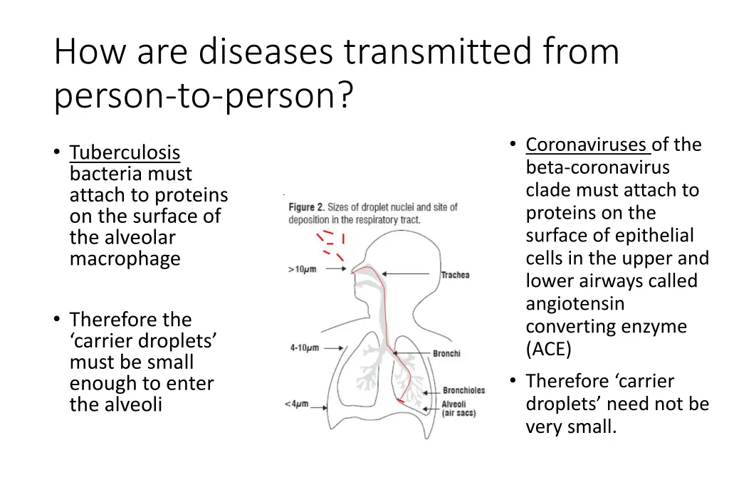 how are diseases transmitted from person to person 2