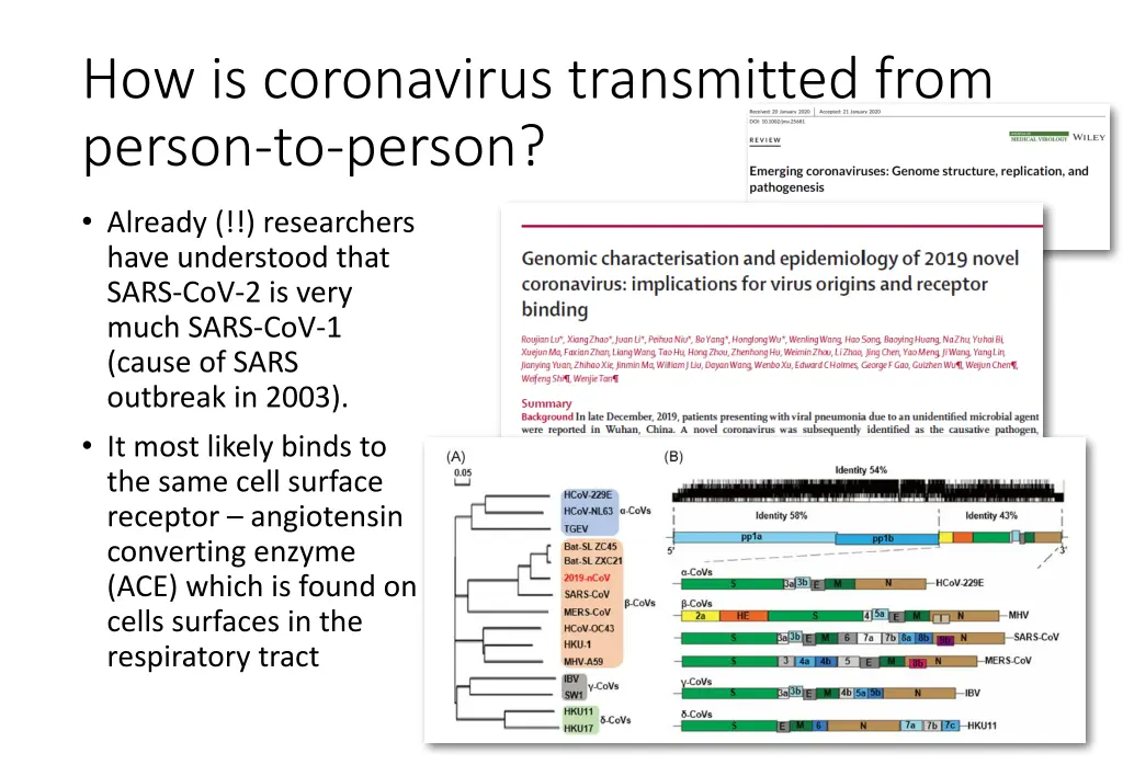 how is coronavirus transmitted from person